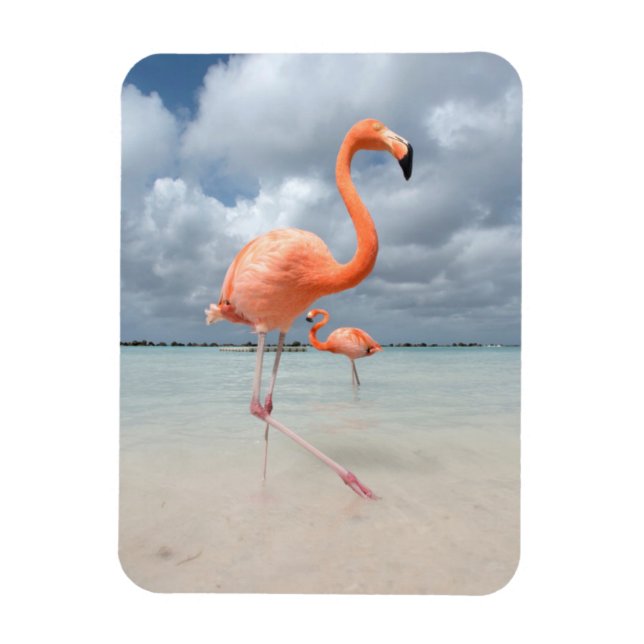 Imán Flamingos Beach Aruba (Vertical)