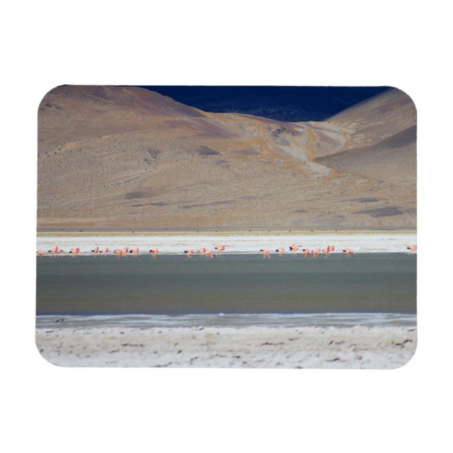 Imán Flamingos en Salar del Huasco, Chile (Horizontal)