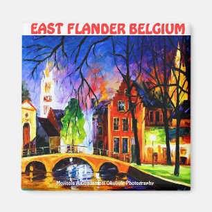 Imán FLANDER ORIENTAL BELGIUM Magnet DE Moji Okubule
