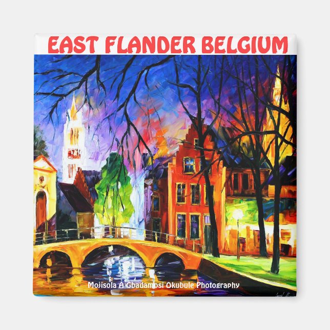 Imán FLANDER ORIENTAL BELGIUM Magnet DE Moji Okubule (Frente)