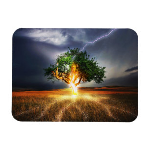 Imán flash-845848 ÁRBOL DE ILUMINACIÓN DE LA FANTASÍ