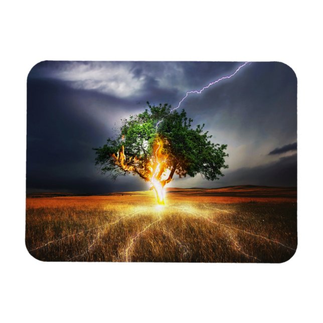 Imán flash-845848 ÁRBOL DE ILUMINACIÓN DE LA FANTASÍA B (Horizontal)