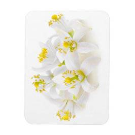 Imán Fleur d'oranger