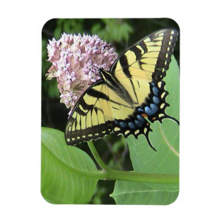 Imán Flexi Magnet