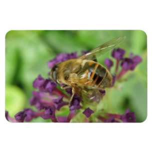 Imán Flexi Magnet flexi de abejas y moradas
