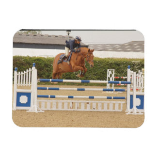 Imán flexible de caballo sobre valla