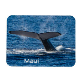 Imán flexible de cola de ballena jorobada