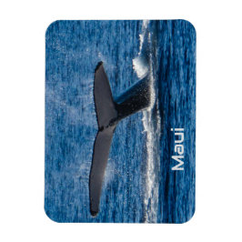 Imán flexible de cola de ballena jorobada