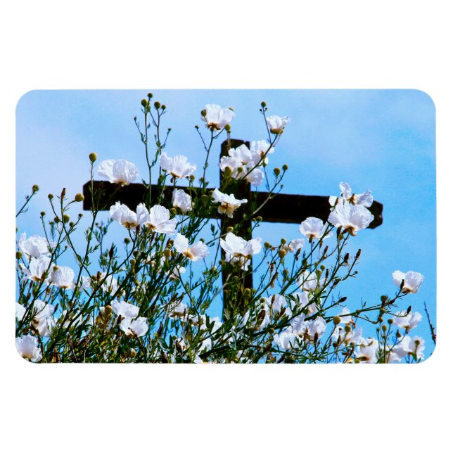 Imán flexible de FE (Horizontal)