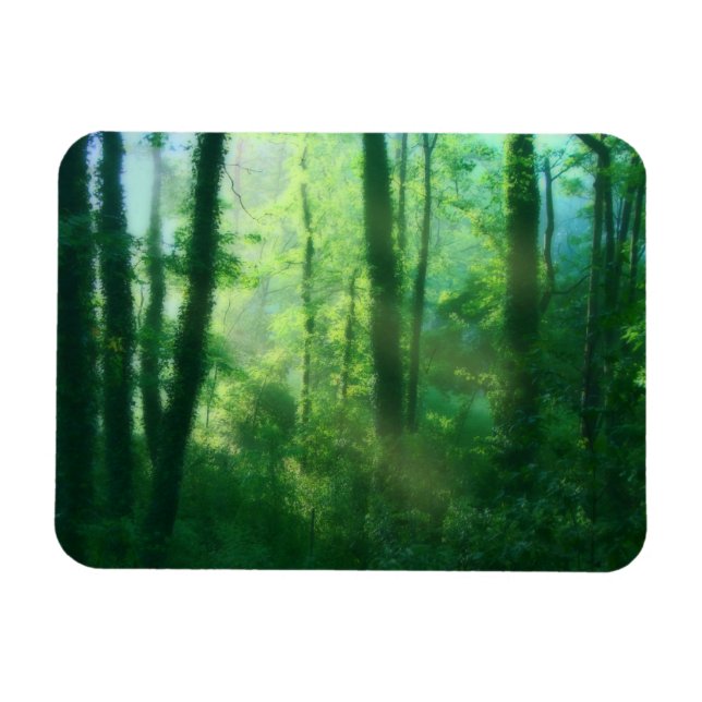 Imán flexible de fertilidad (Horizontal)