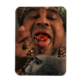 Imán flexible de fiestas indias