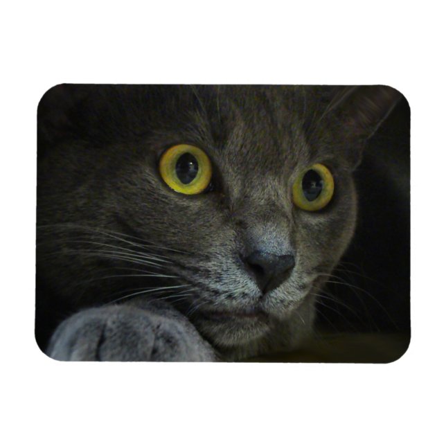 Imán flexible de intensidad (Horizontal)