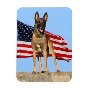 Imán flexible de Malinois y de la bandera