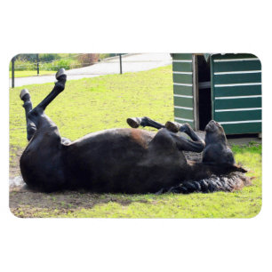 Imán flexible de rodadura por caballos