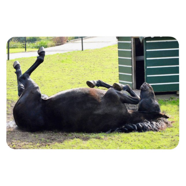 Imán flexible de rodadura por caballos (Horizontal)