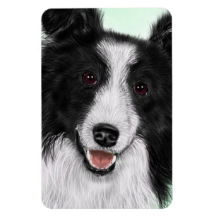 Imán flexible del border collie