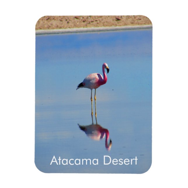 Imán flexible del desierto Flamingo Atacama (Vertical)
