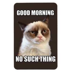 Imán flexible del gato gruñón