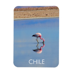 Imán flexible Flamingo