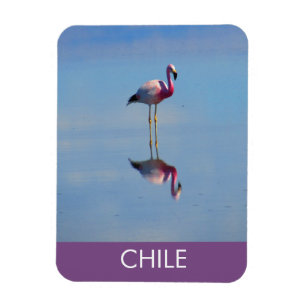 Imán flexible Flamingo