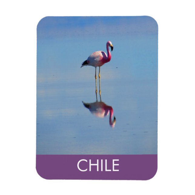 Imán flexible Flamingo (Vertical)