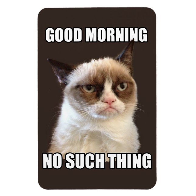 Imán flexible Grumpy Cat (Vertical)