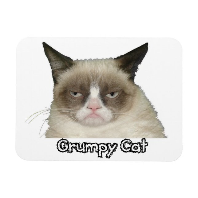 Imán flexible Grumpy Cat 3x4 (Horizontal)