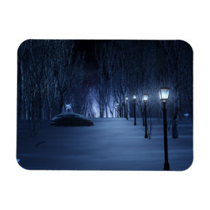 Imán flexible ligero de tontos