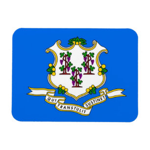 Imán flexible patriótico con bandera de Connecticu