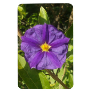 Imán Flexible Photo Magnet Purple eco