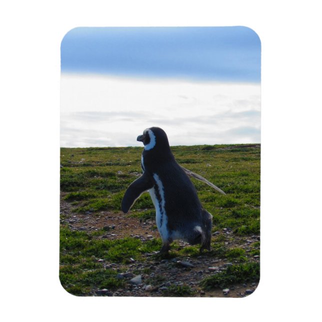 Imán flexible pingüino (Vertical)