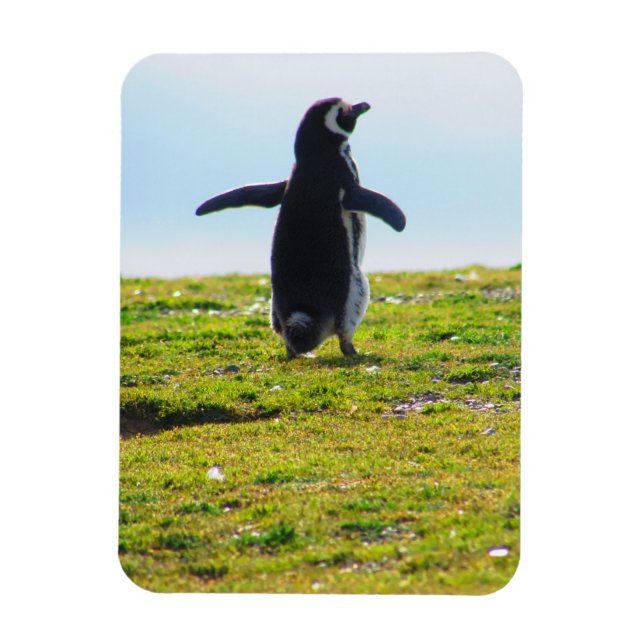 Imán flexible pingüino (Vertical)