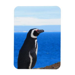 Imán flexible pingüino