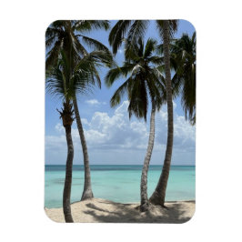 Imán flexible tropical