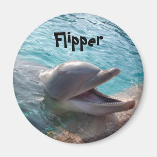 Imán Flipper