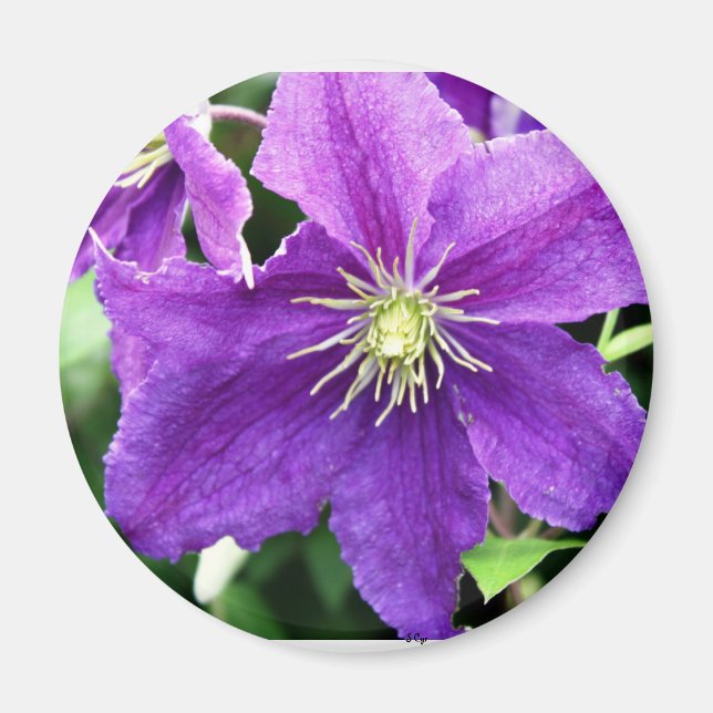 Imán Flirty (Frente)