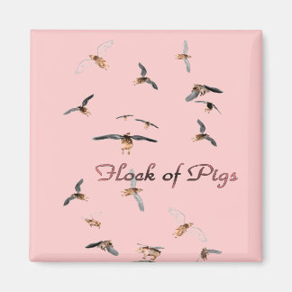 Imán Flock of Pigs Magnet