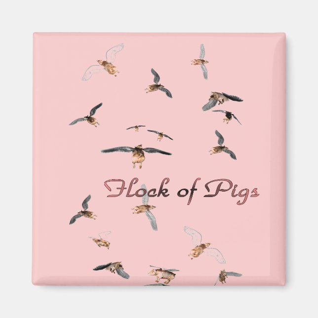 Imán Flock of Pigs Magnet (Frente)