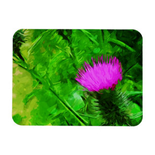 Imán Flodmans Thistle Purple Wildflower Resumen