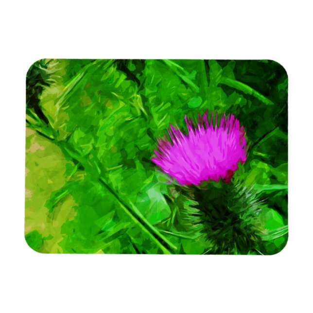 Imán Flodmans Thistle Purple Wildflower Resumen (Horizontal)