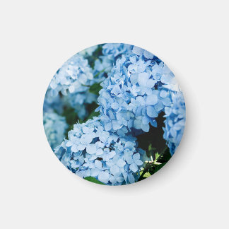 Imán Flor
