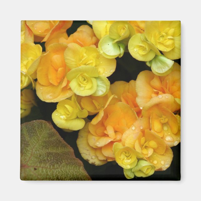 Imán Flor amarilla (Frente)