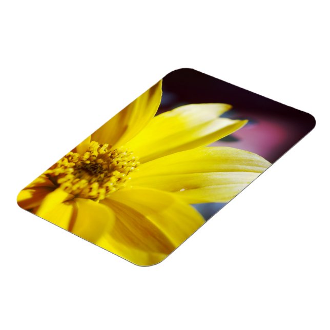 Imán Flor Amarilla (Lado Izquierdo)