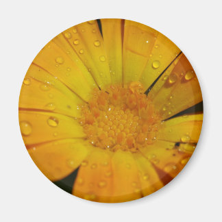 Imán - Flor amarilla con gotas de agua