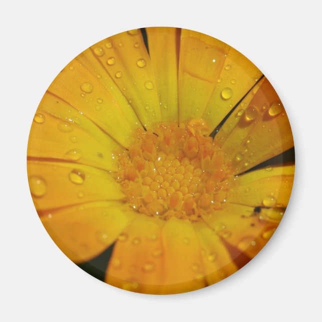 Imán - Flor amarilla con gotas de agua (Frente)