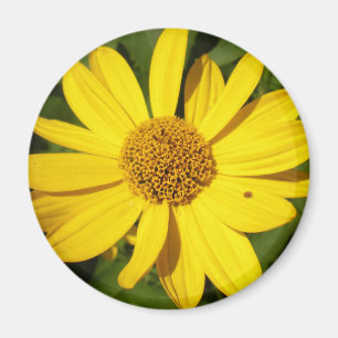 Imán Flor amarilla con hojas verdes