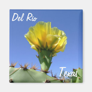 Imán Flor amarilla del cactus de los recuerdos de Del