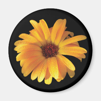 Imán Flor amarilla y aguijón