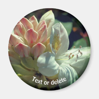 Imán Flor azul blanca personalizada