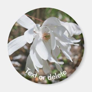 Imán Flor Blanca de Magnolia Personalizada